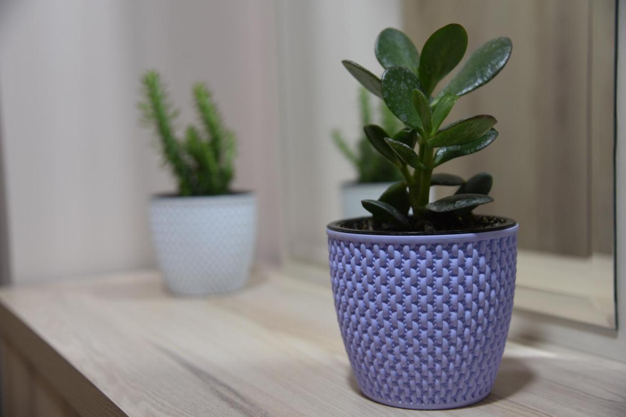 Ecoart Apartments Tiranë Ngoại thất bức ảnh